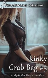 Book Cover for Kinky Grab Bag #5 (by KinkyWriter)